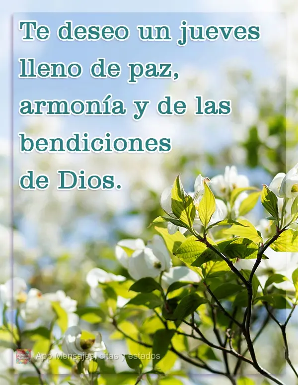 Te deseo un jueves lleno de paz, armonía y de las bendiciones de Dios.