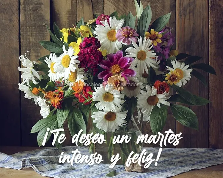 ¡Te deseo un martes intenso y feliz!