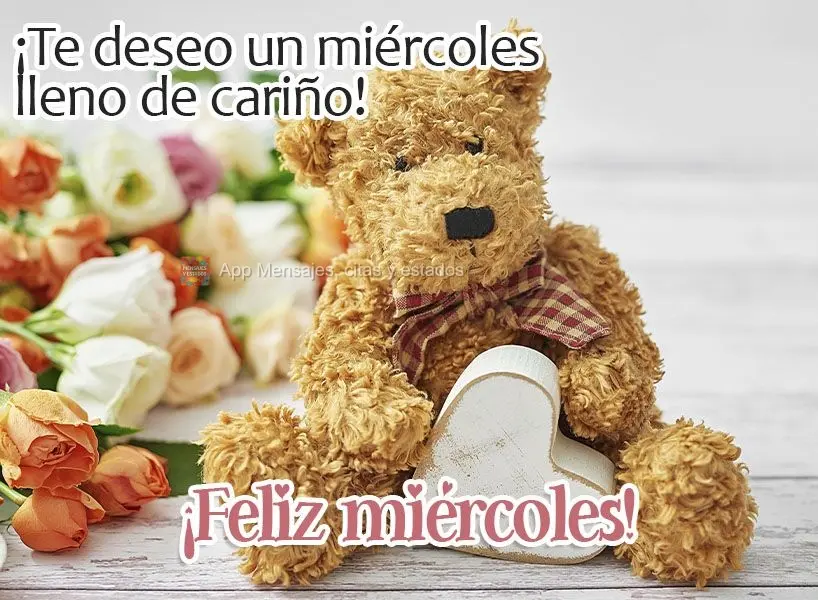 ¡Te deseo un miércoles lleno de cariño! ¡Feliz miércoles!