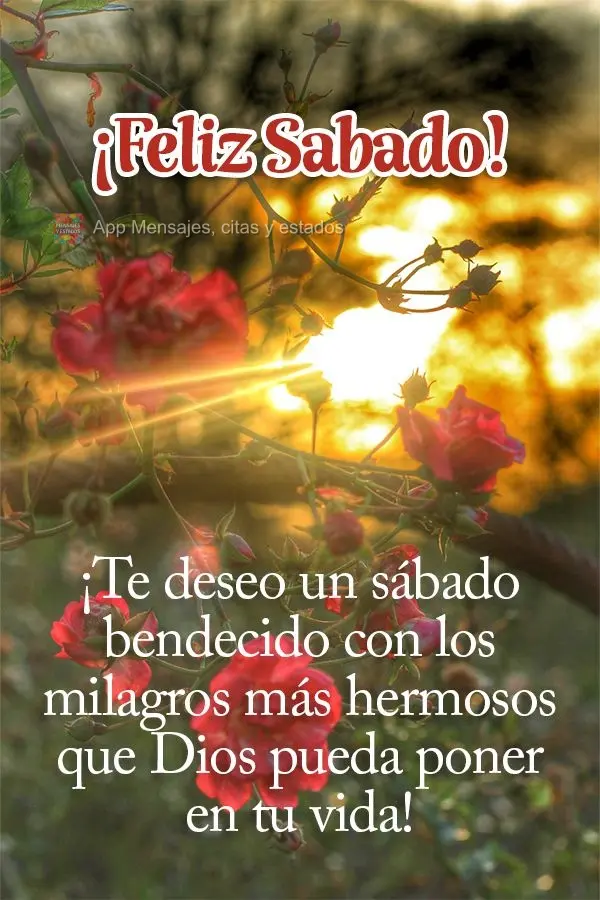 ¡Te deseo un sábado bendecido con los milagros más hermosos que Dios pueda poner en tu vida! ¡Feliz Sabado!