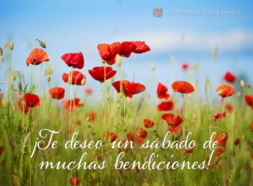 ¡Te deseo un sábado de muchas bendiciones!
