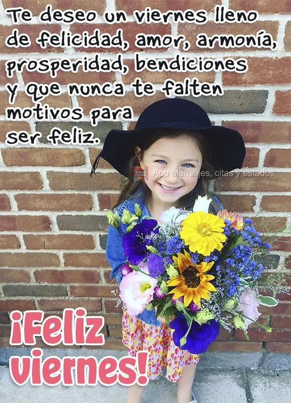 Te deseo un viernes lleno de felicidad, amor, armonía, prosperidad, bendiciones y que nunca te falten motivos para ser feliz. ¡Feliz viernes!