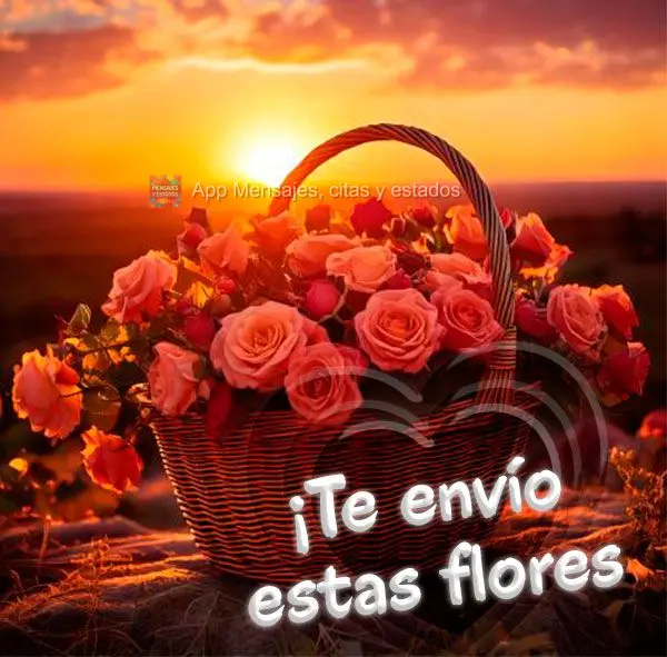 ¡Te envío estas flores especiales!
