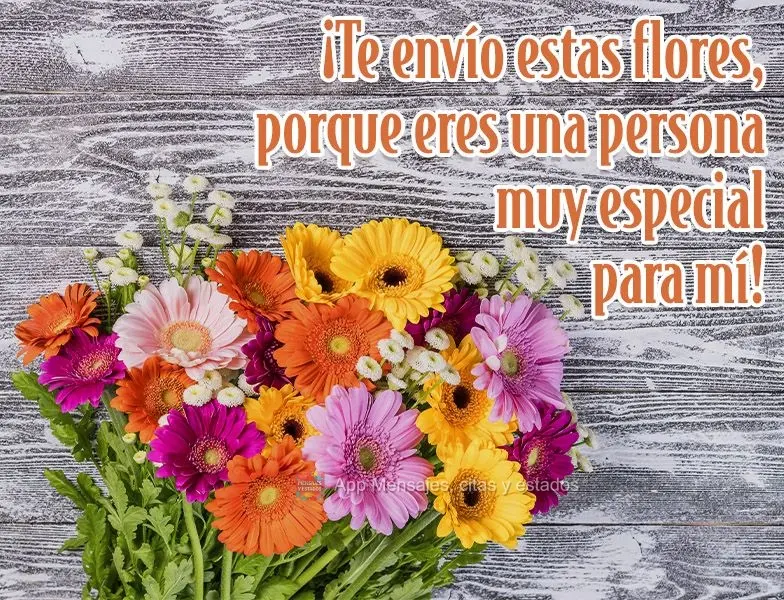 ¡Te envío estas flores, porque eres una persona muy especial para mí!