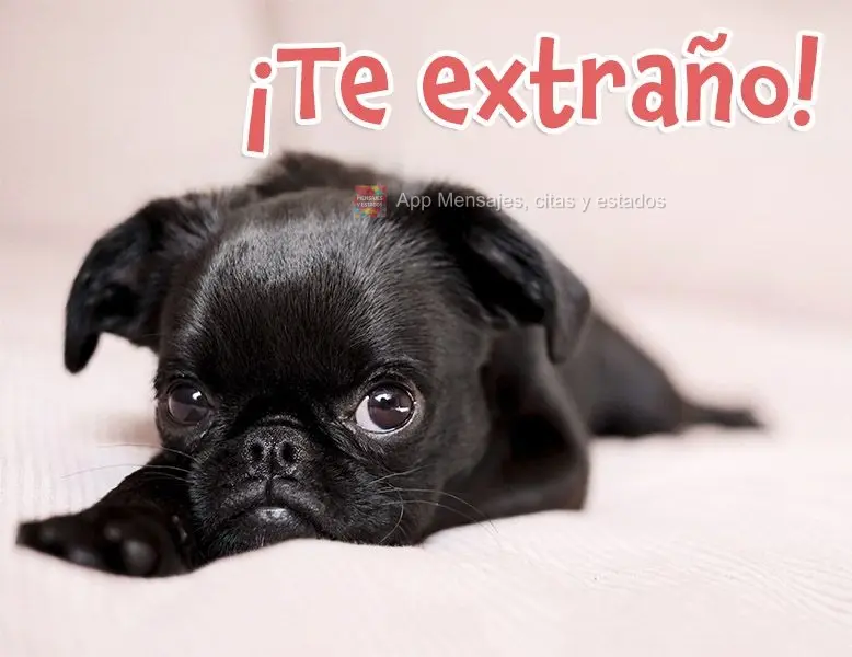 ¡Te extraño!