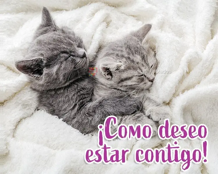 ¡Como deseo estar contigo!