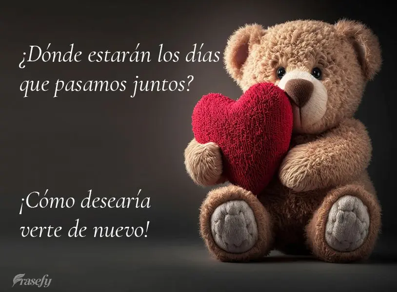 ¿Dónde estarán los días que pasamos juntos? ¡Cómo desearía verte de nuevo!