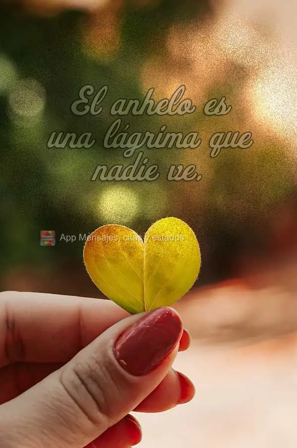 El anhelo es una lágrima que nadie ve.