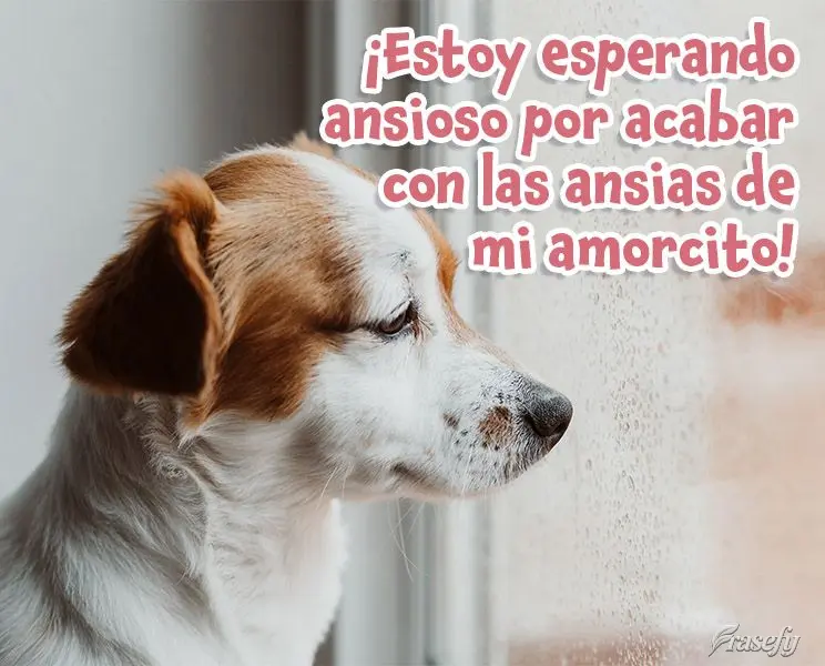 ¡Estoy esperando ansioso por acabar con las ansias de mi amorcito!
