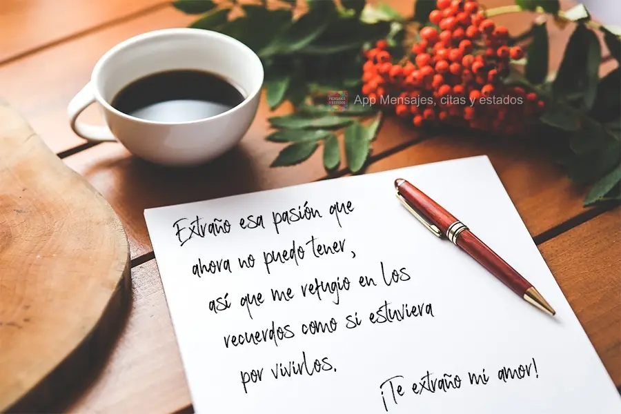 Extraño esa pasión que ahora no puedo tener, así que me refugio en los recuerdos como si estuviera por vivirlos. ¡Te extraño mi amor!