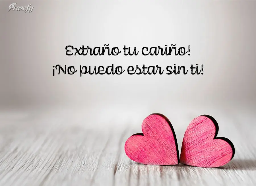 Extraño tu cariño! ¡No puedo estar sin ti!
