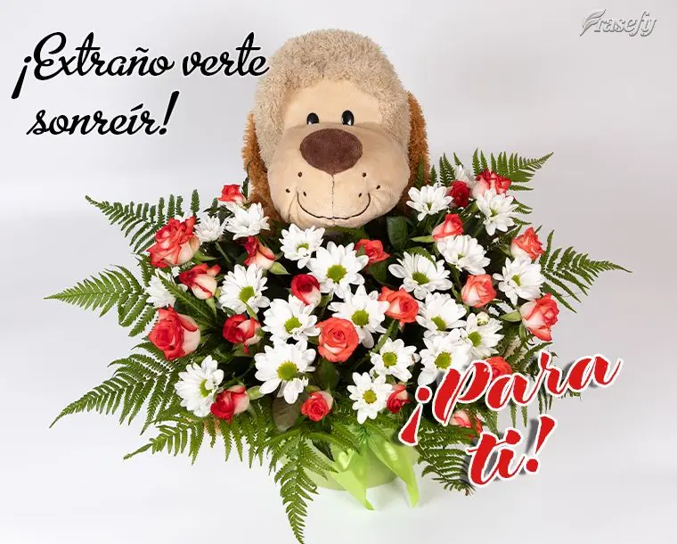¡Extraño verte sonreír! ¡Para ti!