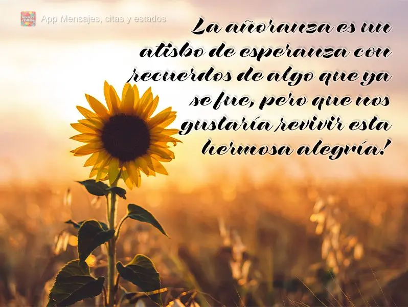 La añoranza es un atisbo de esperanza con recuerdos de algo que ya se fue, pero que nos gustaría revivir esta hermosa alegría!