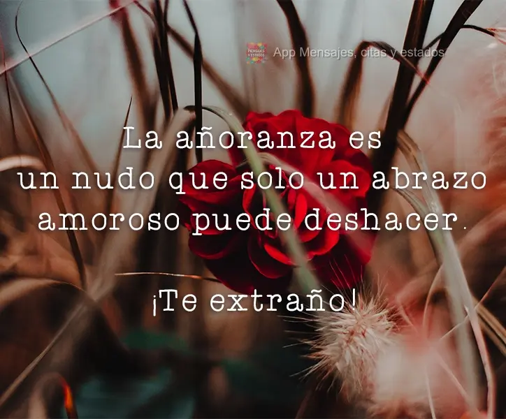 La añoranza es un nudo que solo un abrazo amoroso puede deshacer. ¡Te extraño!