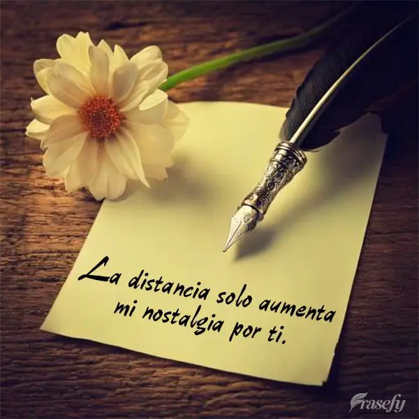 La distancia solo aumenta mi nostalgia por ti.