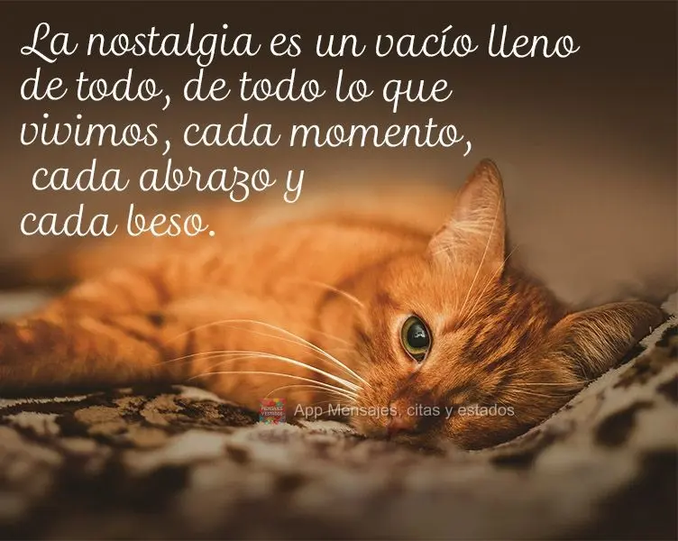 La nostalgia es un vacío lleno de todo, de todo lo que vivimos, cada momento, cada abrazo y cada beso.  