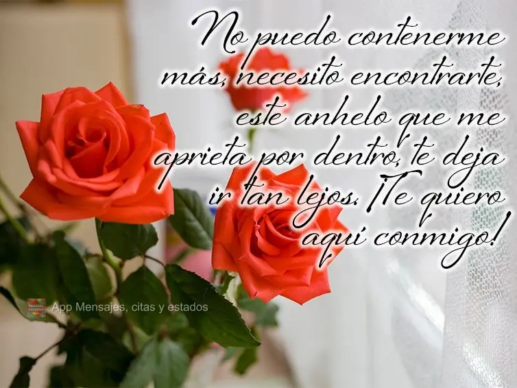 No puedo contenerme más, necesito encontrarte, este anhelo que me aprieta por dentro, te deja ir tan lejos. ¡Te quiero aquí conmigo!