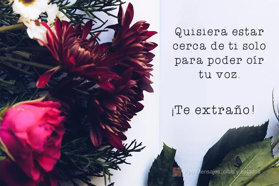 Quisiera estar cerca de ti solo para poder oír tu voz. ¡Te extraño!