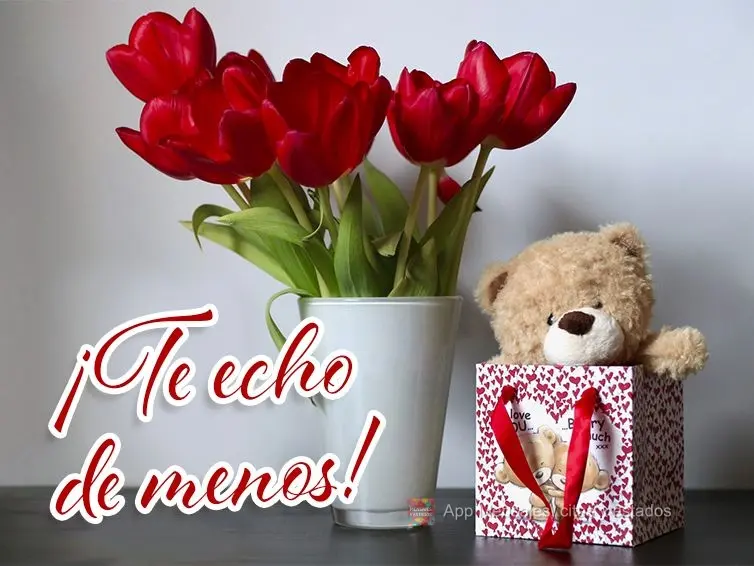¡Te echo de menos!