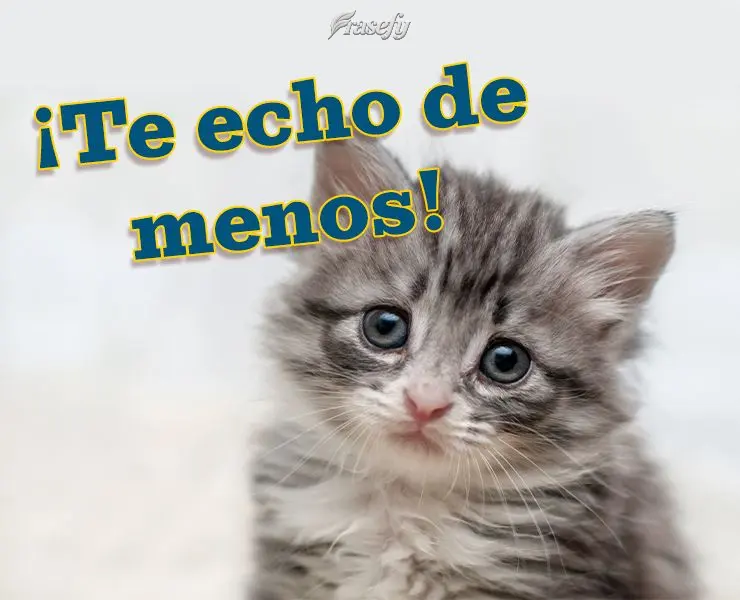 ¡Te echo de menos!