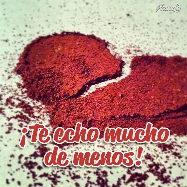¡Te echo mucho de menos!