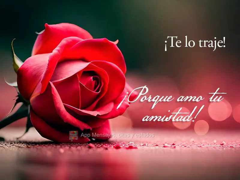 ¡Te lo traje! ¡Porque amo tu amistad!