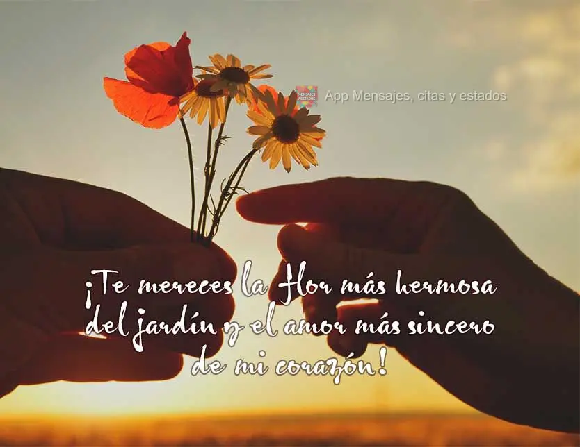 ¡Te mereces la flor más hermosa del jardín y el amor más sincero de mi corazón!