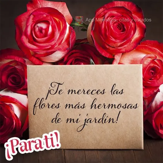 ¡Te mereces las flores más hermosas de mi jardín! ¡Para ti!