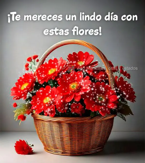 ¡Te mereces un lindo día con estas flores!