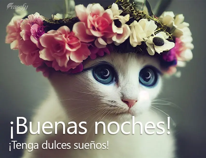 ¡Tenga dulces sueños! ¡Buenas noches!