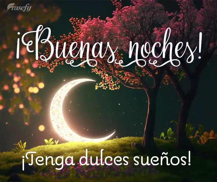 ¡Tenga dulces sueños! ¡Buenas noches!