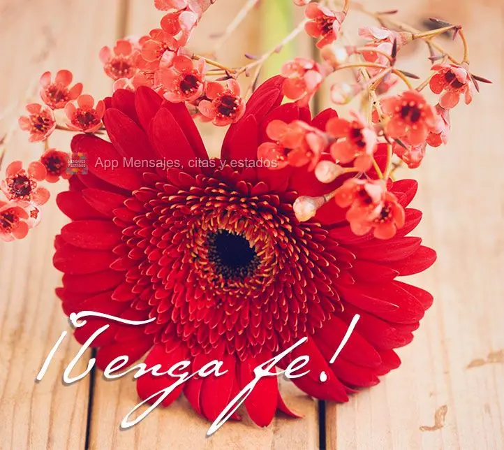 ¡Tenga fe!