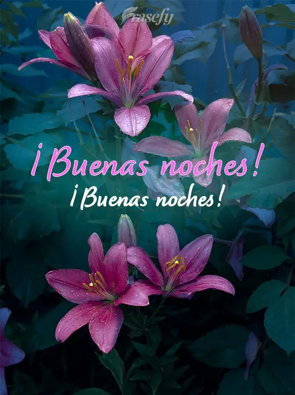 ¡Tenga lindos sueños! ¡Buenas noches!