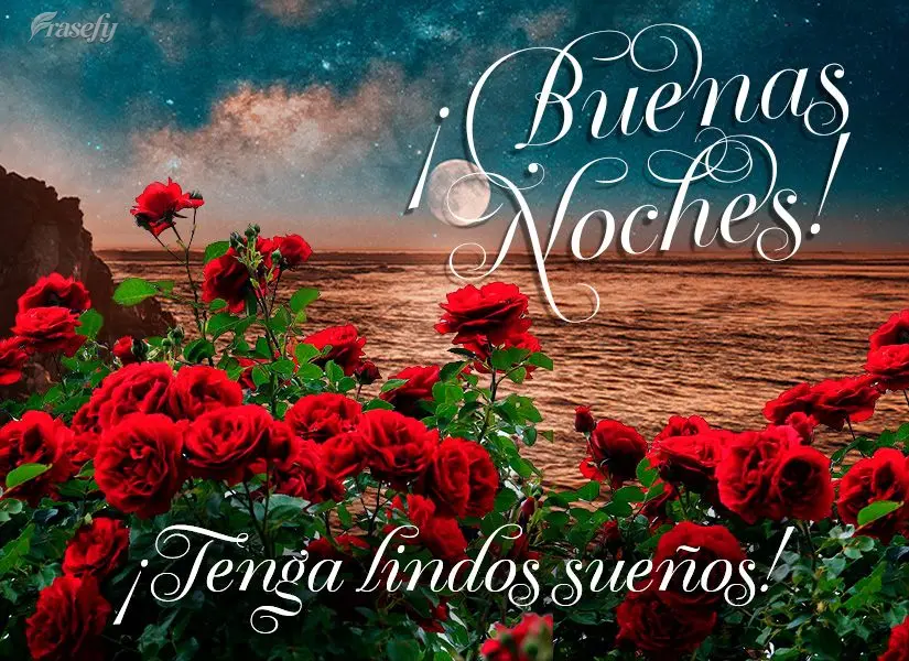¡Tenga lindos sueños! ¡Buenas noches!