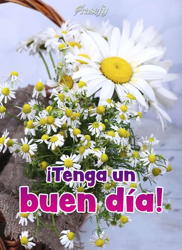 ¡Tenga un buen día!