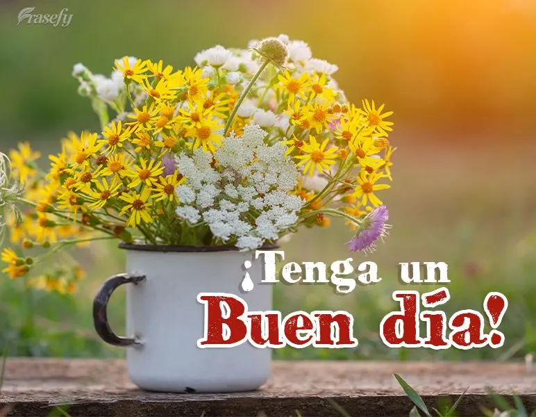 ¡Tenga un buen día!