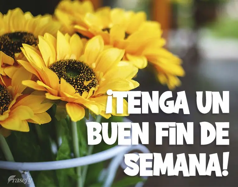¡Tenga un buen fin de semana!