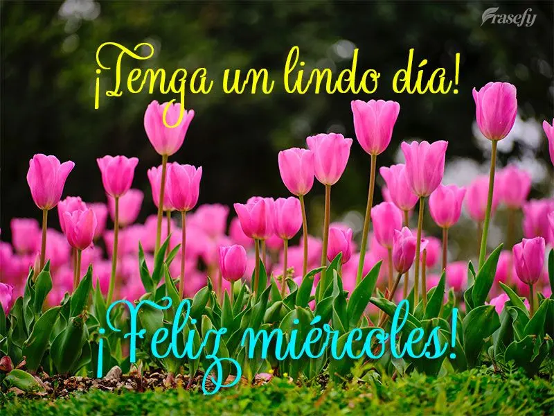 ¡Tenga un lindo día! ¡Feliz miércoles!
