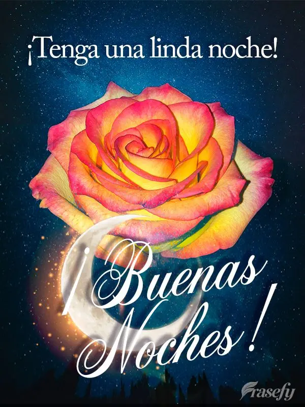 ¡Tenga una linda noche! ¡Buenas noches!