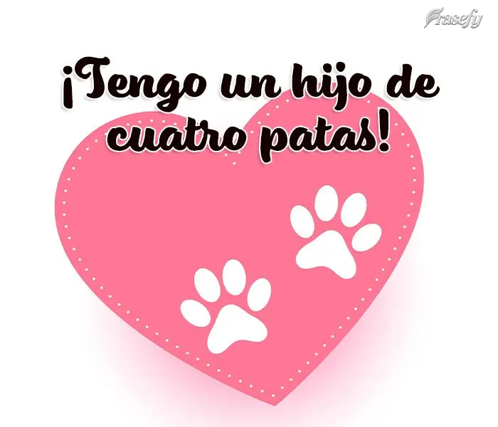 ¡Tengo un hijo de cuatro patas!