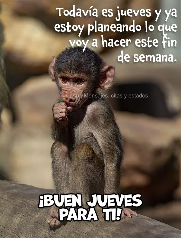 Todavía es jueves y ya estoy planeando lo que voy a hacer este fin de semana. ¡Buen jueves para ti!