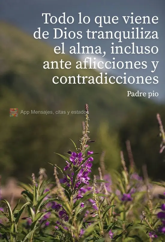 "Todo lo que viene de Dios tranquiliza el alma, incluso ante aflicciones y contradicciones". Padre Pío