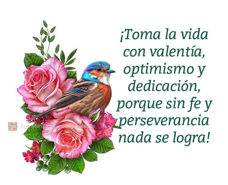 ¡Toma la vida con valentía, optimismo y dedicación, porque sin fe y perseverancia nada se logra!