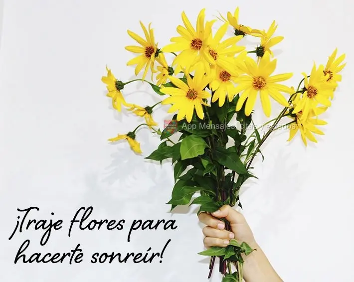 ¡Traje flores para hacerte sonreír!
