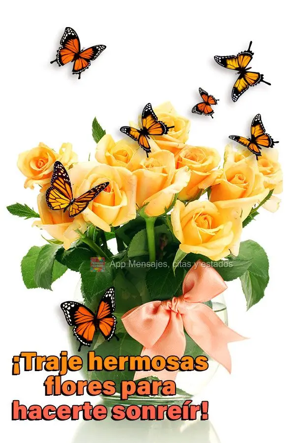 ¡Traje hermosas flores para hacerte sonreír!
