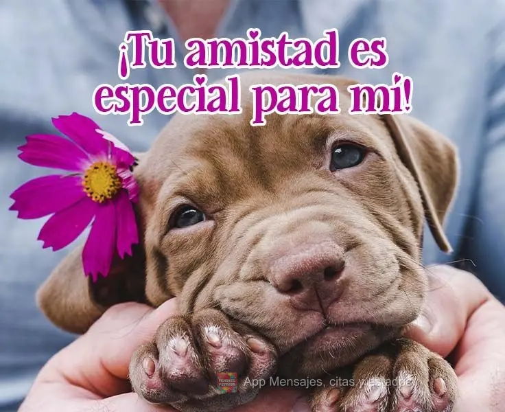 ¡Tu amistad es especial para mí!