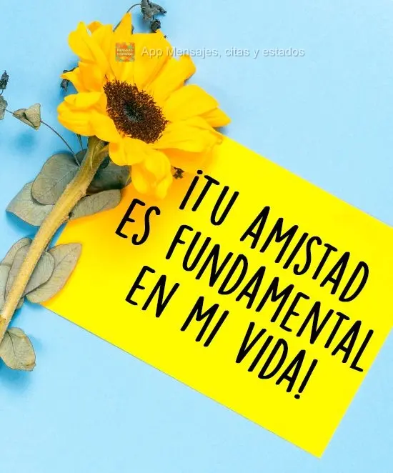 ¡Tu amistad es fundamental en mi vida!