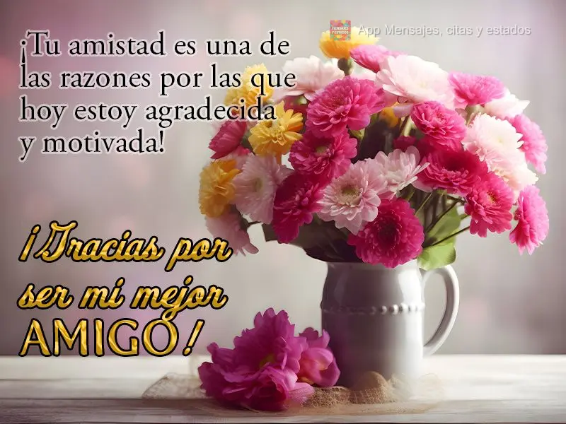 ¡Tu amistad es una de las razones por las que hoy estoy agradecida y motivada! ¡Gracias por ser mi mejor amigo!
