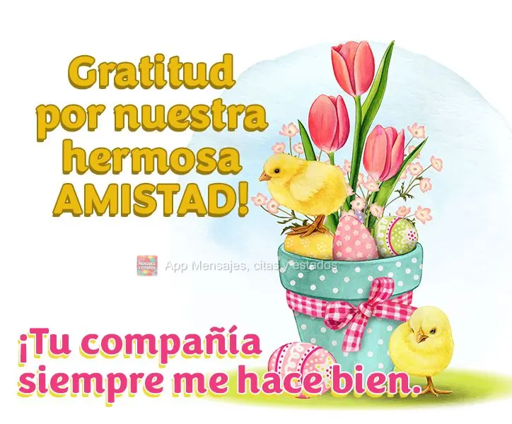 ¡Tu compañía siempre me hace bien. Gratitud por nuestra hermosa amistad! 