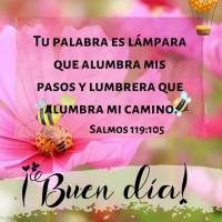 Tu palabra es una lámpara que alumbra mis pasos y lumbrera que alumbra mi camino.
Salmos 119:105
Buen día ¡Buen día! Salmos 119:105